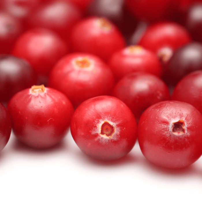 https://www.justberryplants.co.za/wp-content/uploads/2020/11/cranberry-fruits.png