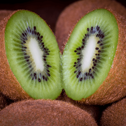kiwi vine
