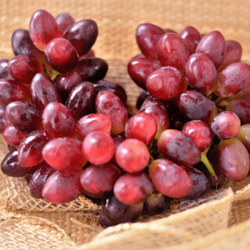 crimson seedless grape