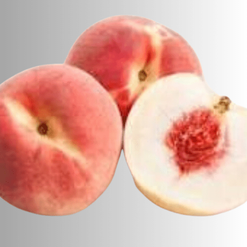 culemborg Peach Tree