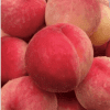Orion Peach Tree