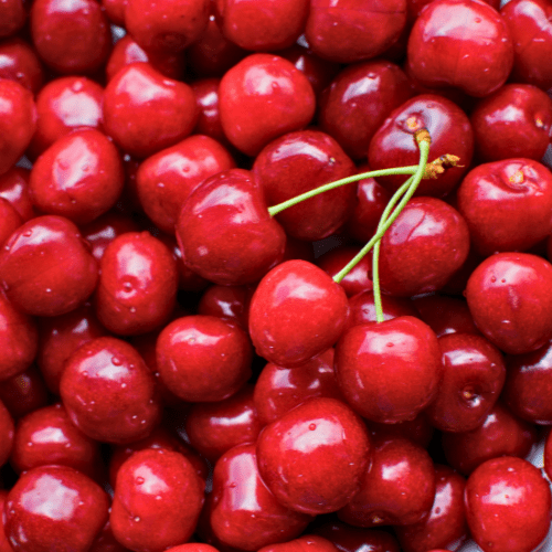 Dwarf Lapin Cherry Tree