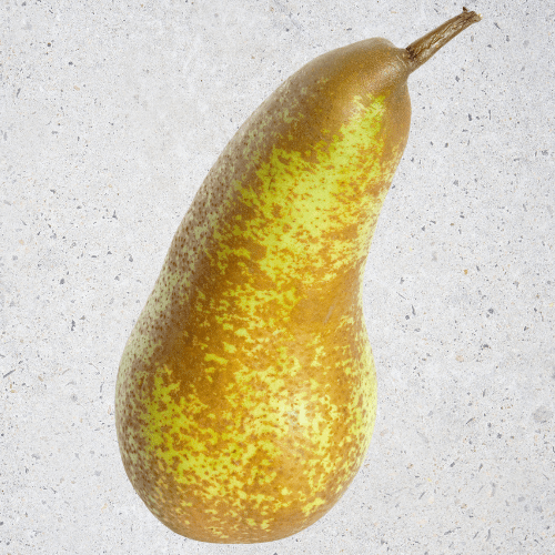 Abate Fetel Pear Tree