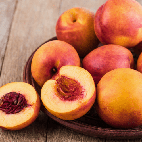 Alpine Nectarine Tree