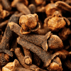 clove tree