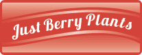 Just Berry Plants logo