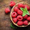 Red Raspberry bush sapling