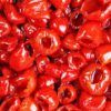pepperdew plant
