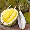 Durian fruit