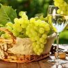 Early Sweet Grape