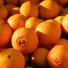 Late Lane Navel Orange