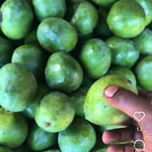 Tanga Mango