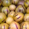 Pepino Melon