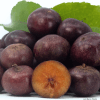 Governors plum fruit