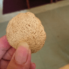 Oyster Nuts-Telfairia pedata