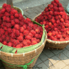 Rambutan Red Binjal