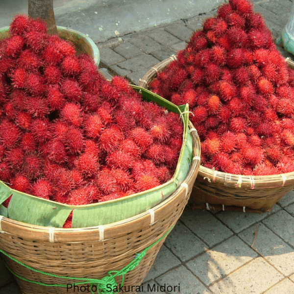Rambutan Red Binjal