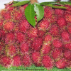 Rambutan Red Rongrien Thailand