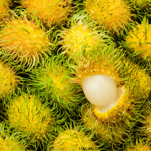 Rambutan Yellow Muar Gading