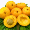 Uvaia (Eugenia pyriformis)