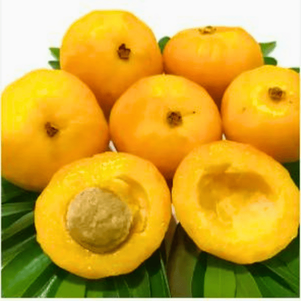 Uvaia (Eugenia pyriformis)