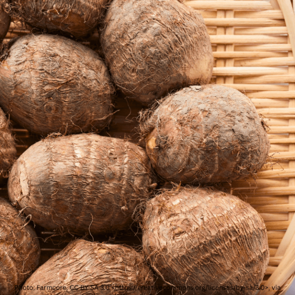 taro Root